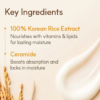 The Face Shop Rice Ceramide Moisture Cream 50ml Korean Glowing Skin Moisturizer Shop Now Bd Online